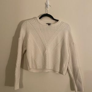 Express Knit Cozy Sweater